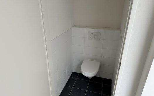 Oliemolenwal 77D – Tiel